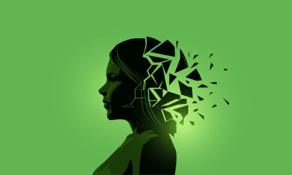 Web Cover
